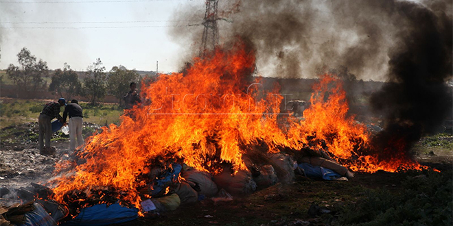 Plus de 5 tonnes de chira incinérées à Dakhla