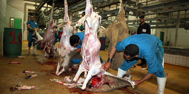Aïd Al Adha : Gros écarts sur les prix de l’abattage