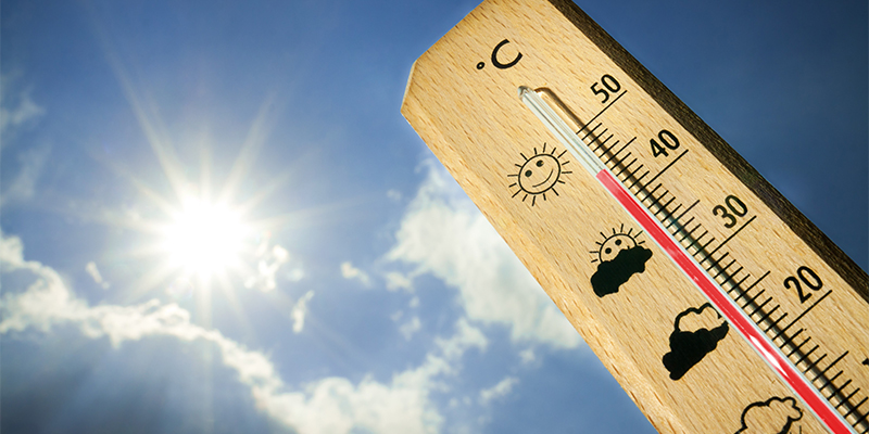 Canicule: Jusqu'à 44°C du jeudi au samedi