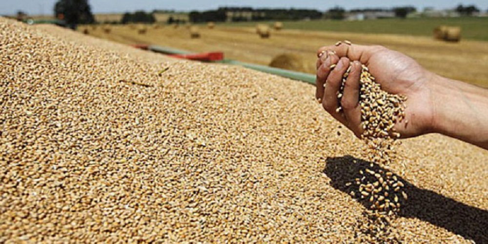 Produits alimentaires: L'indice FAO des prix à son plus haut depuis juillet 2011