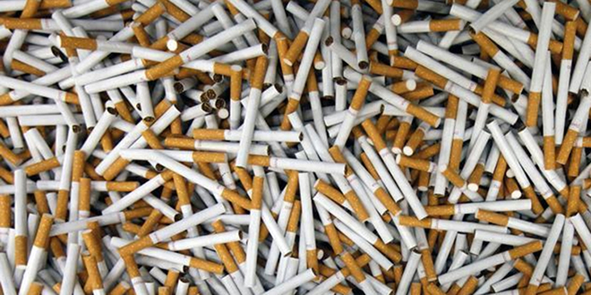 La contrebande de cigarettes en légère hausse