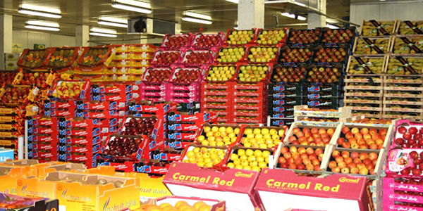 Fruits et légumes frais: les exportations en chiffres