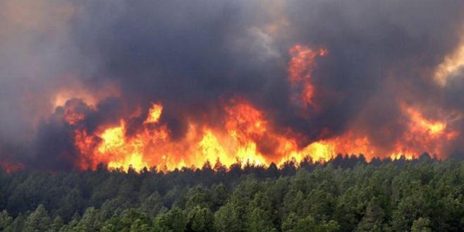 Mdiq-Fnideq: Au moins 120 ha détruits dans l’incendie de la forêt "Kodiat Tifour"