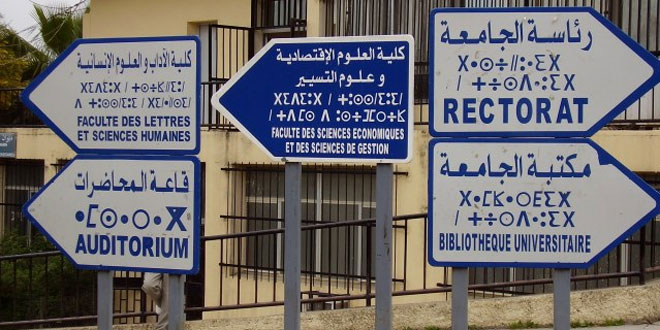 Enquête Sunergia: Tournant décisif pour le multilinguisme marocain