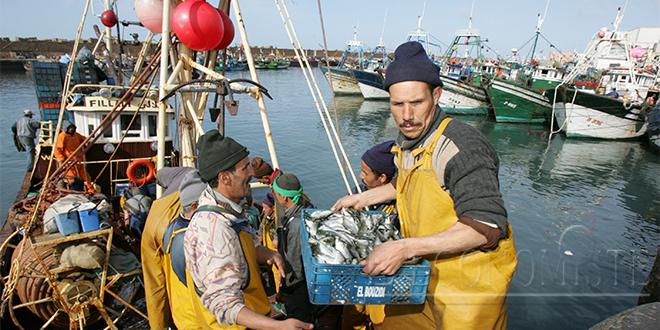 La valeur des produits de la pêche en hausse à Safi