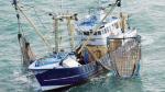 Accord de pêche Maroc-UE : l'Espagne s'inquiète