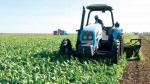 Génération Green : Fès-Meknès s'attaque à l'érosion des terres agricoles