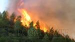 Risque d’incendies de forêts "extrême" dans 10 provinces