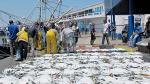 Port de M'diq: Hausse de 10% des débarquements de pêche