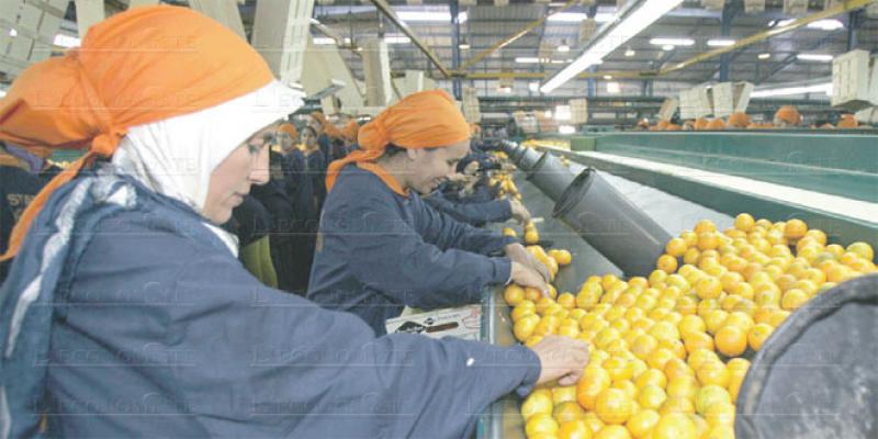 Accord agricole Maroc-UE: Les professionnels se mobilisent