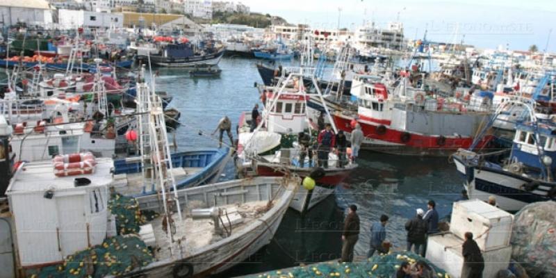  Pêche: Forte hausse des débarquements au 1er semestre 