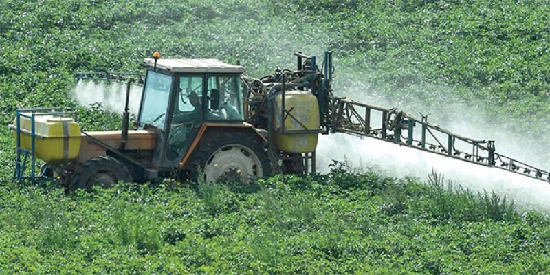 Perspectives agricoles: La FAO et l’OCDE se projettent sur 10 ans