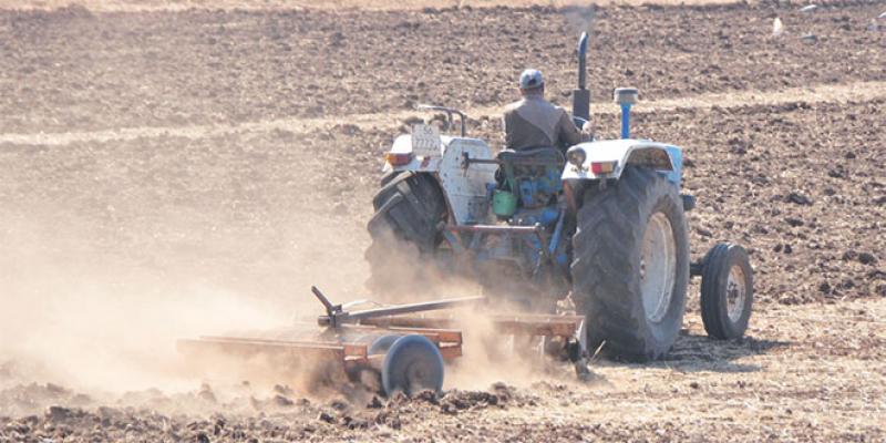 Emplois dans l’agriculture: Le sérieux défi de la valeur ajoutée 