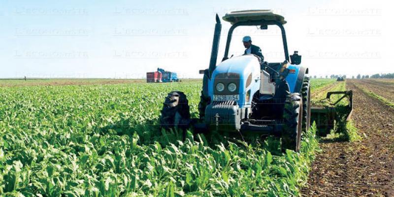 Génération Green : Fès-Meknès s'attaque à l'érosion des terres agricoles