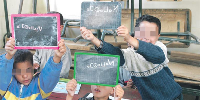 Amazigh à l’école: Impossible à généraliser?