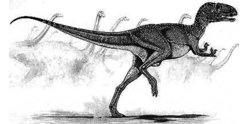 Dinosaures d’Anza: Le site d’empreintes authentifié