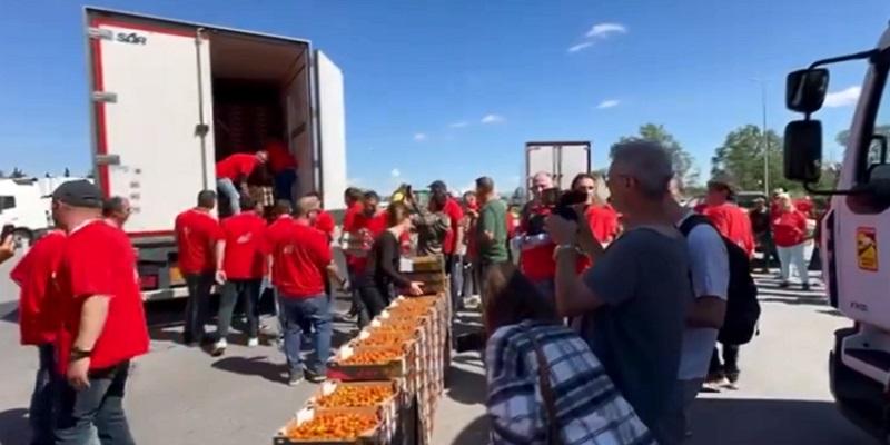 Nouvelles attaques contre la tomate marocaine : la Comader durcit le ton