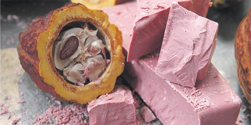 Barry Callebaut présente un 4e type de chocolat