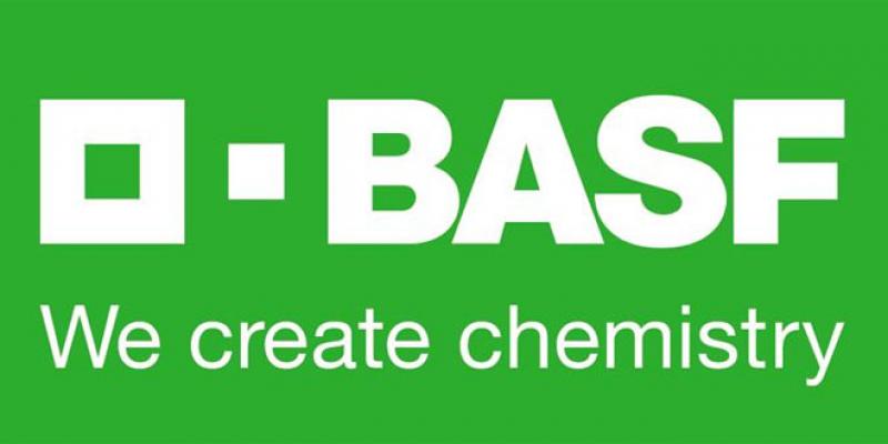 Automobile: BASF s’offre un gros marché chez PSA