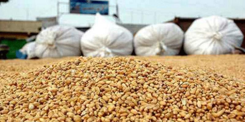 Céréales: Deux bonnes récoltes et un record à l’import
