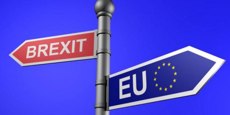 Brexit: Nouveau cycle de négociations à Bruxelles
