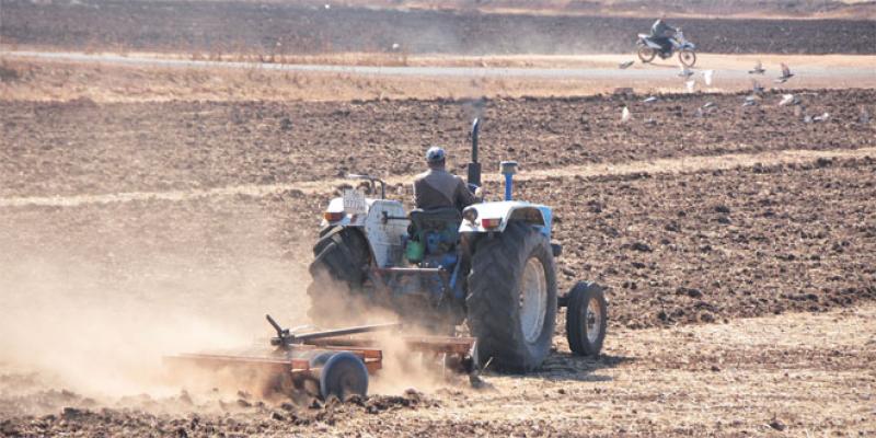 Campagne agricole: «Travailler vite, mais sans précipitation»