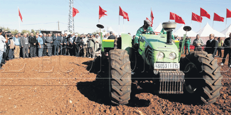 Campagne agricole: La parade d&#039;Akhannouch contre le stress hydrique