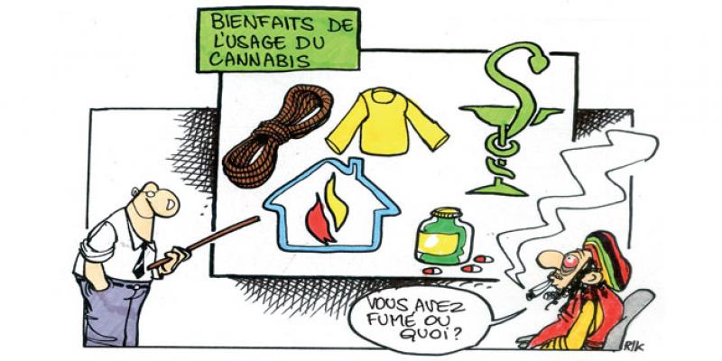 Cannabis: La piste de la légalisation se précise