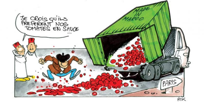 Agricultural crisis in France: Moroccan trucks ransacked and burned
