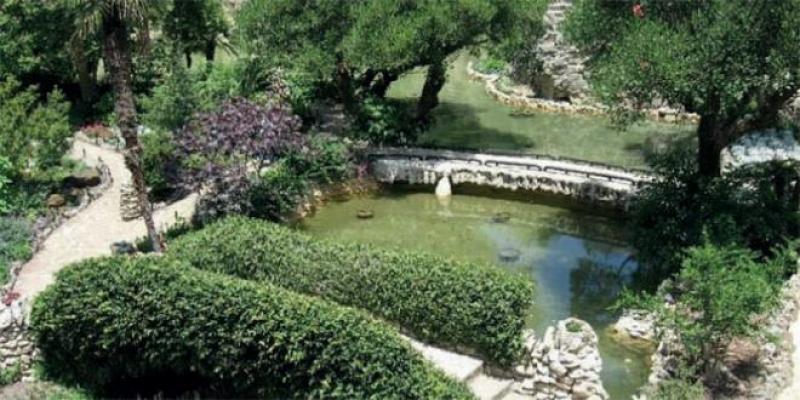 Texas: Des chèvres mènent la vie dure aux mauvaises herbes