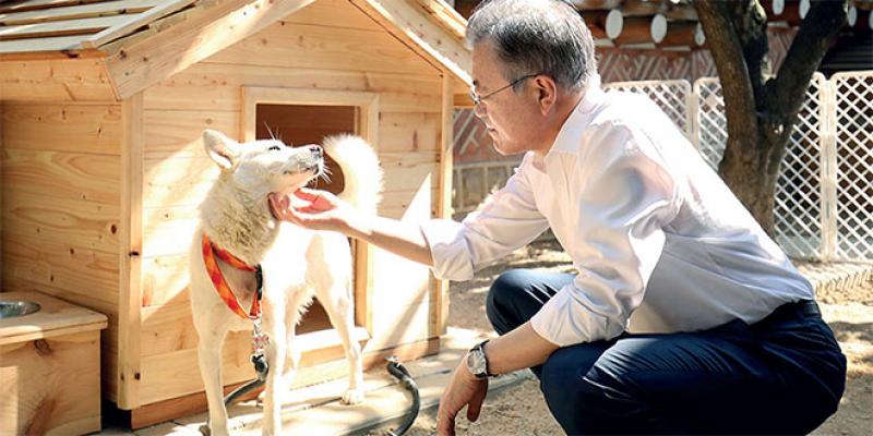 Des chiens nord-coréens provoquent des querelles en Corée du Sud