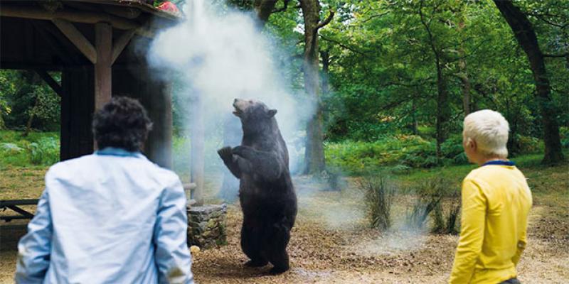 «Crazy Bear», l'histoire d'un ours sous cocaïne à Hollywood