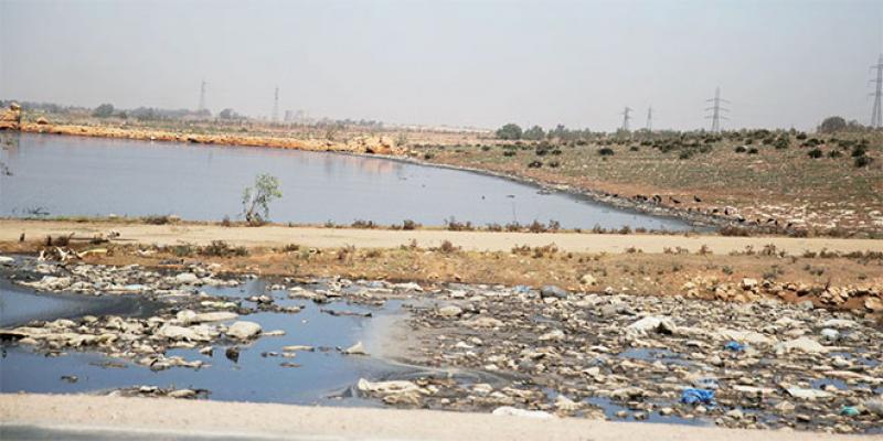 Décharge de Médiouna: Ce lixiviat qui empoisonne la vie des riverains