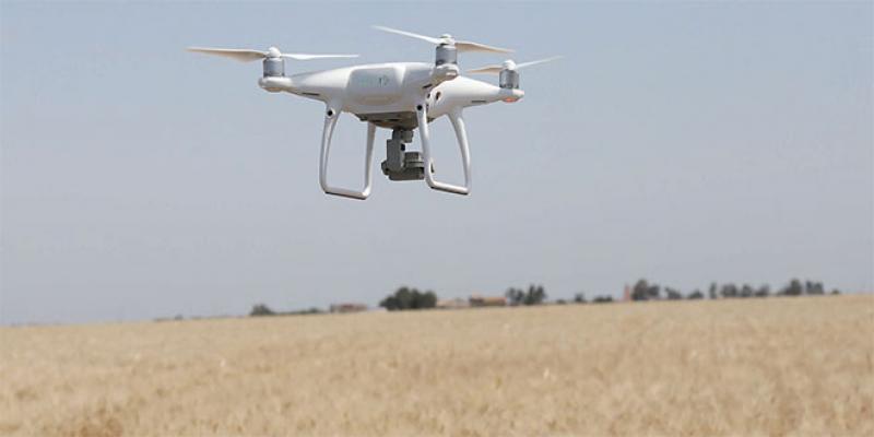 SIAM - Des drones dans le ciel des champs