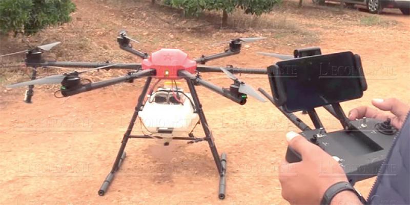 Oriental: Des drones pour booster l’agrumiculture 