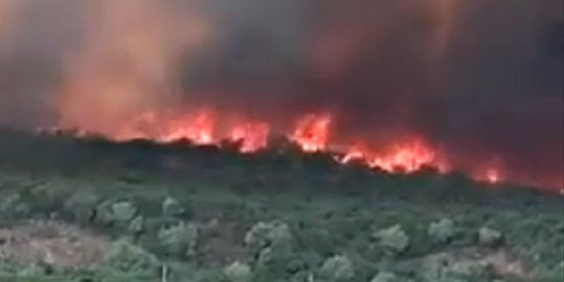 Algérie: Des feux de forêt font 37 morts