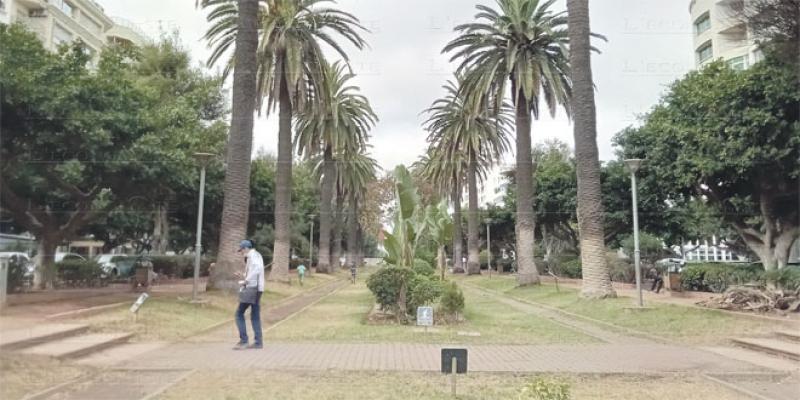 Casablanca: Seconde vie pour les jardins publics?