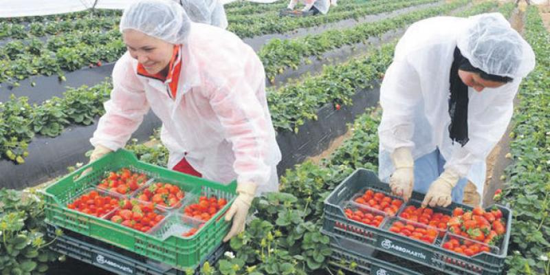 Fruits rouges: 200 ouvrières agricoles accompagnées