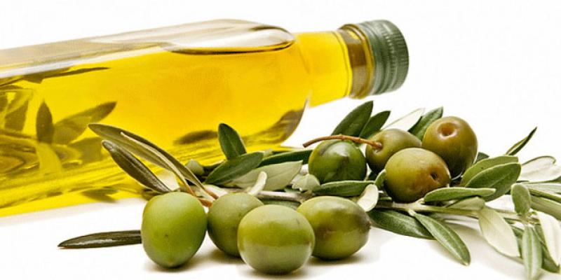 Sous-produits d’huile d’olive Les nouvelles pistes de valorisation