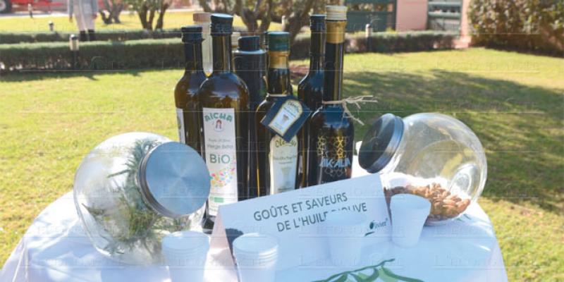 Huile d’olive: Fès-Meknès en course pour une notoriété internationale