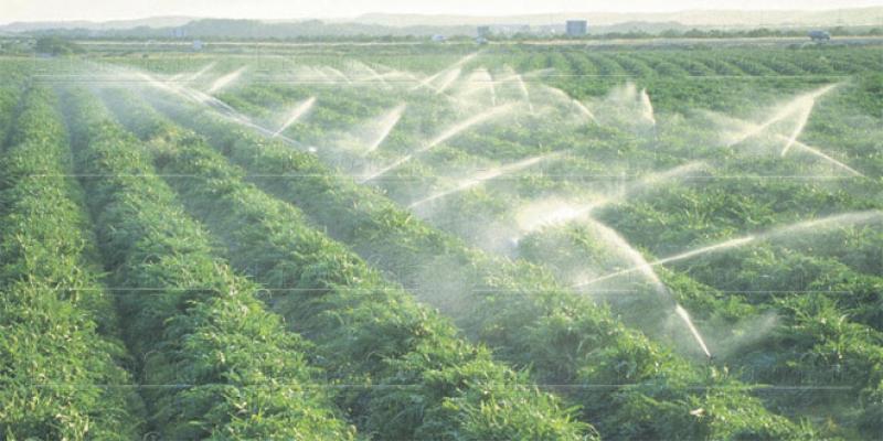 Agriculture: Les détails du programme d’irrigation économe