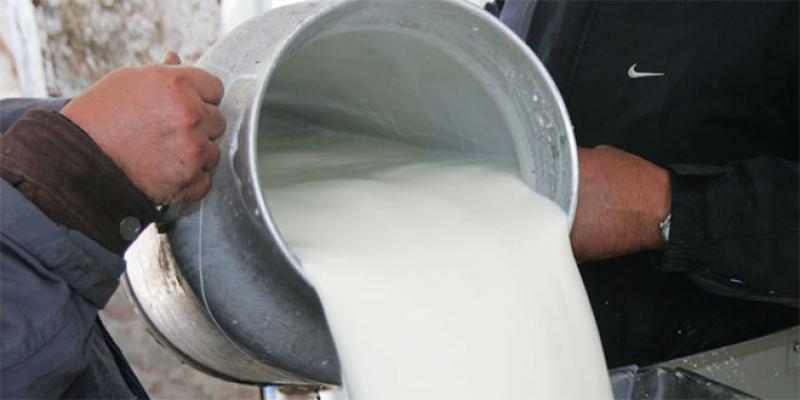 Filière laitière: Centrale Danone promeut l’agrégation parmi les éleveurs