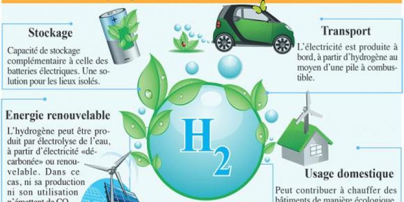 Hydrogène vert: Les prochains défis