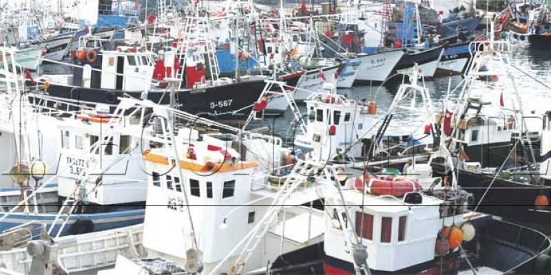 Accord de pêche Maroc-UE: Les provinces du Sud, grandes gagnantes