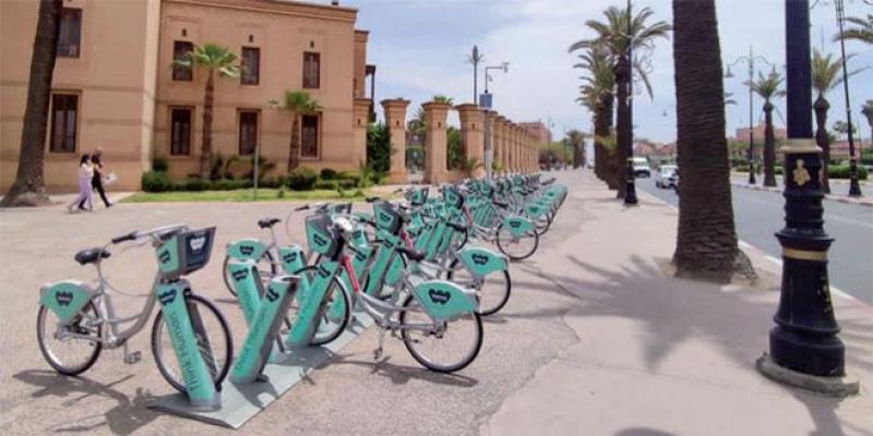Marrakech: Les vélib' reprennent du service