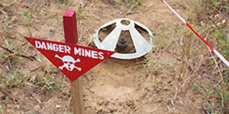Mines antipersonnel: L’administration a biaisé le règlement à l’amiable 