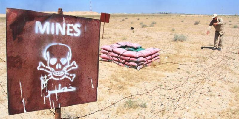 Mines antipersonnel: Le Maroc applique de facto la Convention d’Ottawa 