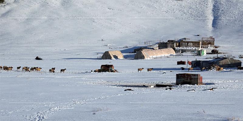 Neige, sourires et lutte… dans les hauteurs du Moyen-Atlas