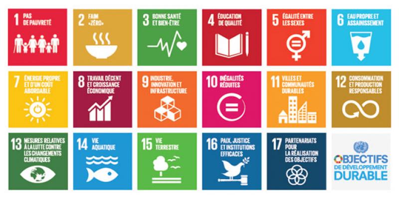 Objectifs de développement durable: Plus que 12 ans pour être à la hauteur