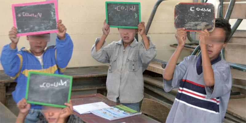 Formation des enseignants en langue amazighe: début de l'initiative dans la région TTA